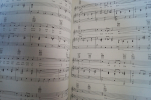 The Golden Age of Country Music Songbook Notenbuch Piano Vocal Guitar PVG