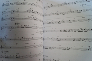 100 Pop Solos for Flute Songbook Notenbuch Flute