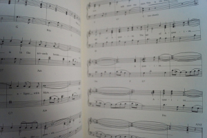 It´s easy to play Showtunes Songbook Notenbuch Piano Vocal