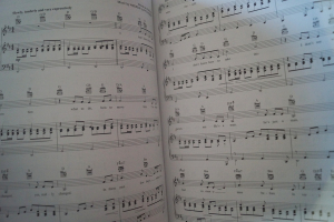 The Definitive Broadway Collection (2nd Edition) Songbook Notenbuch Piano Vocal Guitar PVG
