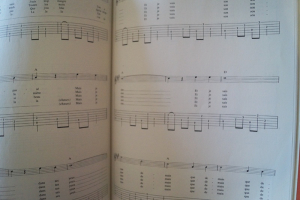 Graeme Allwright - Special Guitare Tablatures Songbook Notenbuch Vocal Guitar
