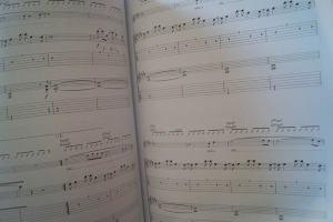 Noel Gallagher - High Flying Birds Songbook Notenbuch Vocal Guitar