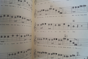 Lowrey Brings Joy to the World Notenheft