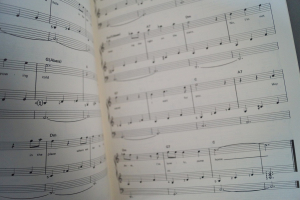 Fun at the Lowrey: Special Effects Notenheft