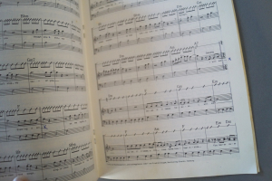 Pop Gitarre Hit-Parade Heft 77 Notenheft