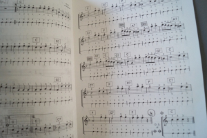 Melodie & Rhythmus Volksmeodien I Notenheft