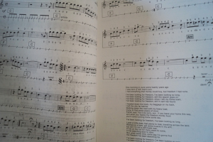 Melodie & Rhythmus Popmusik Top Hits VII Notenheft