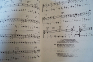 Melodie & Rhythmus Popmusik und Schlager (Heft 10) Notenheft