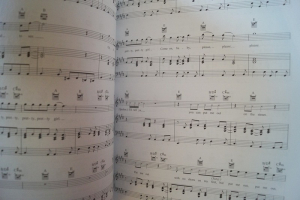 Fifty Shades of Grey Songbook Notenbuch Piano Vocal Guitar PVG