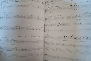 ACDC - Bassology Songbook Notenbuch Vocal Bass