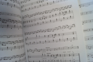 James Galway & Phil Coulter - Winter´s Crossing (mit Beilage) Songbook Notenbuch Piano Flute