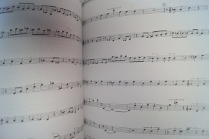 John Patitucci - Artist Transcriptions Songbook Notenbuch Bass