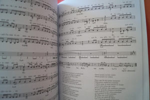 Professional Books: 100 Anni 80 Songbook Notenbuch C-Instruments