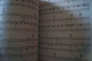 You´ve got Mail Songbook Notenbuch Piano Vocal Guitar PVG