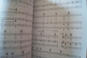 Doris Day - The Songbook Songbook Notenbuch Piano Vocal Guitar PVG