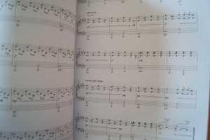 Ludovico Einaudi - Seven Days Walking Day One Songbook Notenbuch Piano