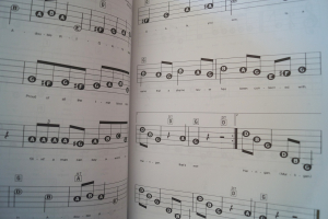 Irish Favorites Songbook Notenbuch Easy Keyboard Vocal