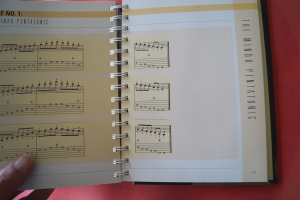 100 Killer Licks & Chops for Blues Guitar (ohne CD) Gitarrenbuch