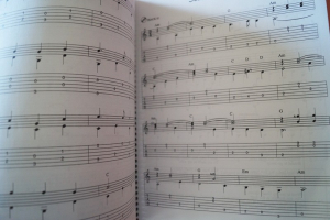 101 Easy Fingerstyle Guitar Solos (mit CD) Gitarrenbuch