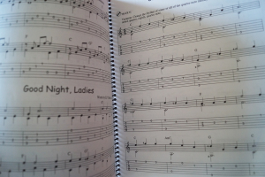 101 Easy Fingerstyle Guitar Solos (mit CD) Gitarrenbuch