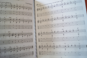 101 Easy Fingerstyle Guitar Solos (mit CD) Gitarrenbuch