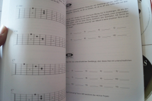 Rock Guitar Basics (mit 2 CDs und Beilage) Gitarrenbuch