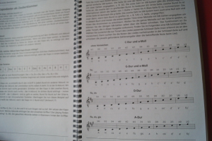 Lieder und Songs mit einfachen Gitarrengriffen Gitarrenbuch