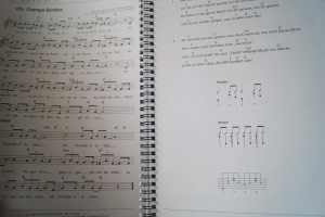 Lieder und Songs mit einfachen Gitarrengriffen Gitarrenbuch