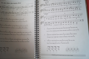 Lieder und Songs mit einfachen Gitarrengriffen Gitarrenbuch