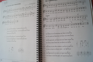 Lieder und Songs mit einfachen Gitarrengriffen Gitarrenbuch