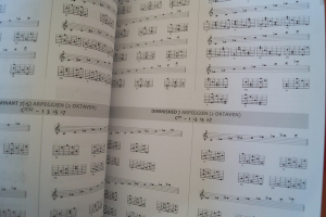 Guitar Navigation System Gitarrenbuch