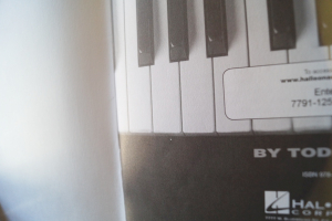 Boogie-Woogie Piano (mit Audiocode, Keyboard Style Series) Keyboardbuch