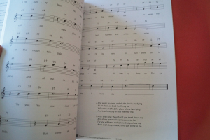 Mundharmonika schnell und einfach lernen (ohne CD) Mundharmonikabuch