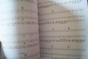 Feist - The Reminder Songbook Notenbuch Piano Vocal Guitar PVG