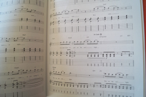 Police - Guitar Play along (mit Audiocode) Songbook Notenbuch Vocal Guitar