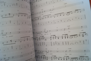 Red Hot Chili Peppers - Deluxe Guitar Play along (mit Audiocode) Songbook Notenbuch Vocal Guitar