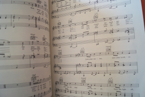 Steely Dan - The Great Songs of Songbook Notenbuch Piano Vocal Guitar PVG