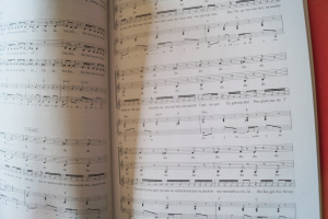 Wise Guys - And Girls (mit CD) Songbook Notenbuch für diverse Instrumente