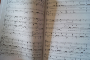 Wise Guys - And Girls (mit CD) Songbook Notenbuch für diverse Instrumente