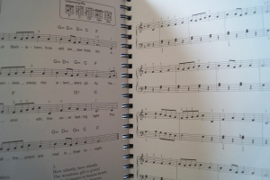 Das große Notenbuch der Weihnachtslieder (ohne CD) Songbook Notenbuch für diverse Instrumente