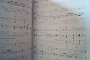 Fingerpicking Jazz Standards Songbook Notenbuch Vocal Guitar