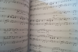 The Big Book of Disco & Funk Songbook Notenbuch Piano Vocal Guitar PVG