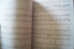 Buddy Holly - Buddy Holly Lives Songbook Notenbuch Piano Vocal Guitar PVG