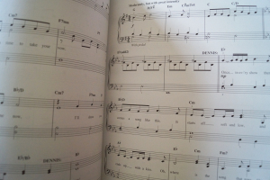 Spamalot Songbook Notenbuch Easy Piano Vocal