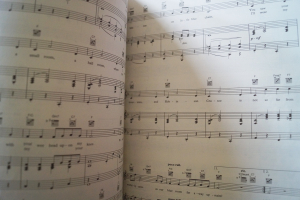 100 Years of Popular Music: The 20s Vol. 1 Songbook Notenbuch Piano Vocal Guitar PVG