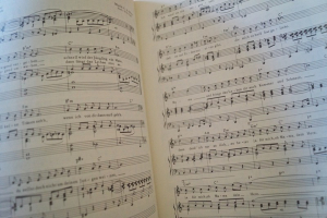 Das grosse Evergreen Concert Songbook Notenbuch Piano Vocal