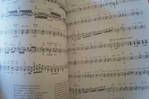 Professional Books: 100 Opera Songbook Notenbuch C-Instruments