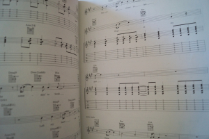 Lemonheads - It´s a Shame about Ray Songbook Notenbuch Vocal Guitar