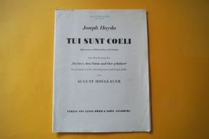 Tui sunt Coeli (Haydn)