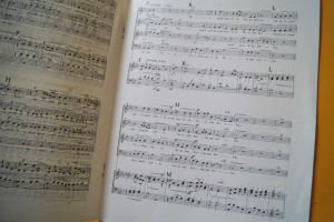 Tui sunt Coeli (Haydn)